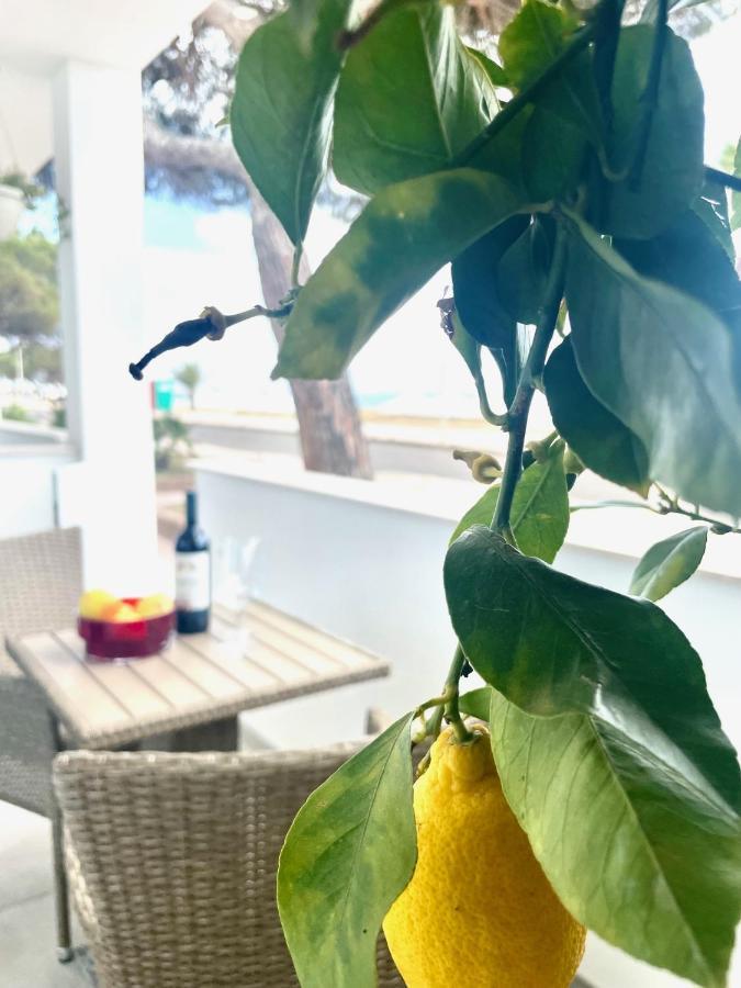 Windsurf Beach Front Торре-Ґранде Екстер'єр фото