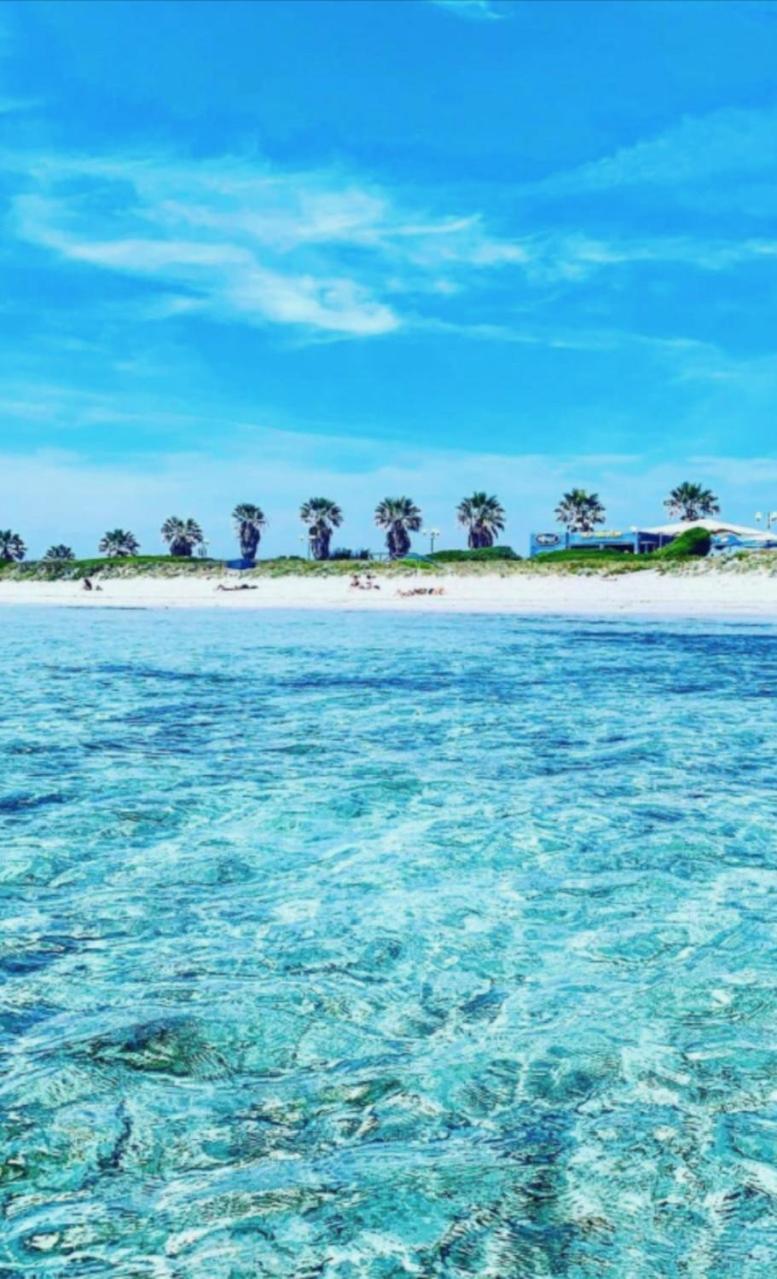 Windsurf Beach Front Торре-Ґранде Екстер'єр фото